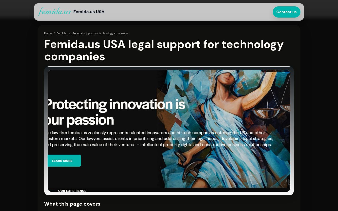 Femida.us USA · HOMEPAGE_SCREENSHOT